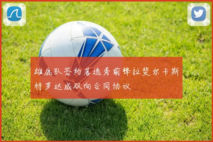 雄鹿队签约落选秀前锋拉斐尔卡斯特罗达成双向合同协议